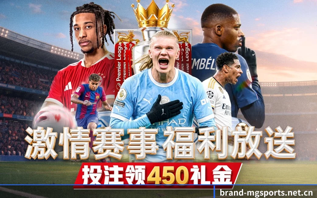 五维频道网格化布局 · 环球体坛电讯按项归仓