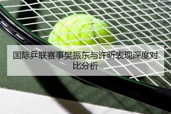 国际乒联赛事樊振东与许昕表现深度对比分析